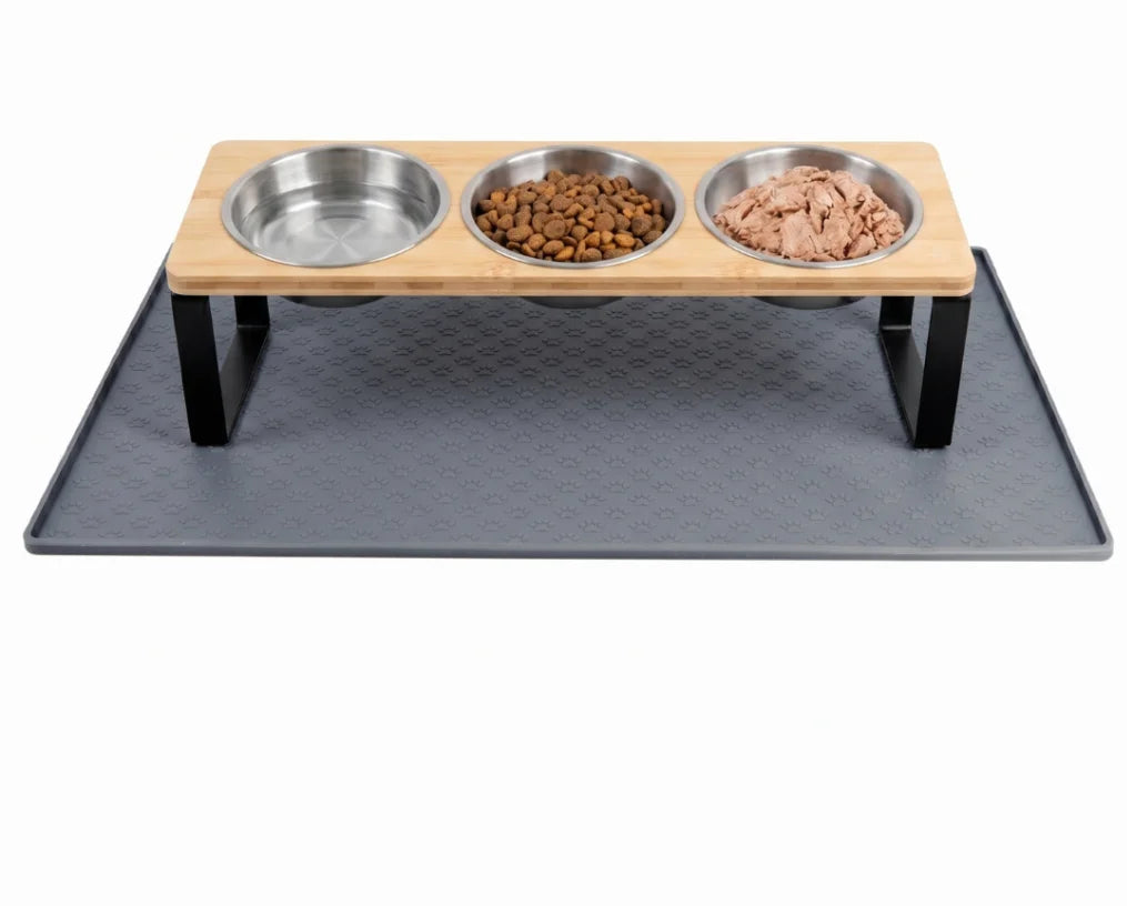 Elevated Cat Feeder With Tilted 15 Degree Stand Stainless Bowls