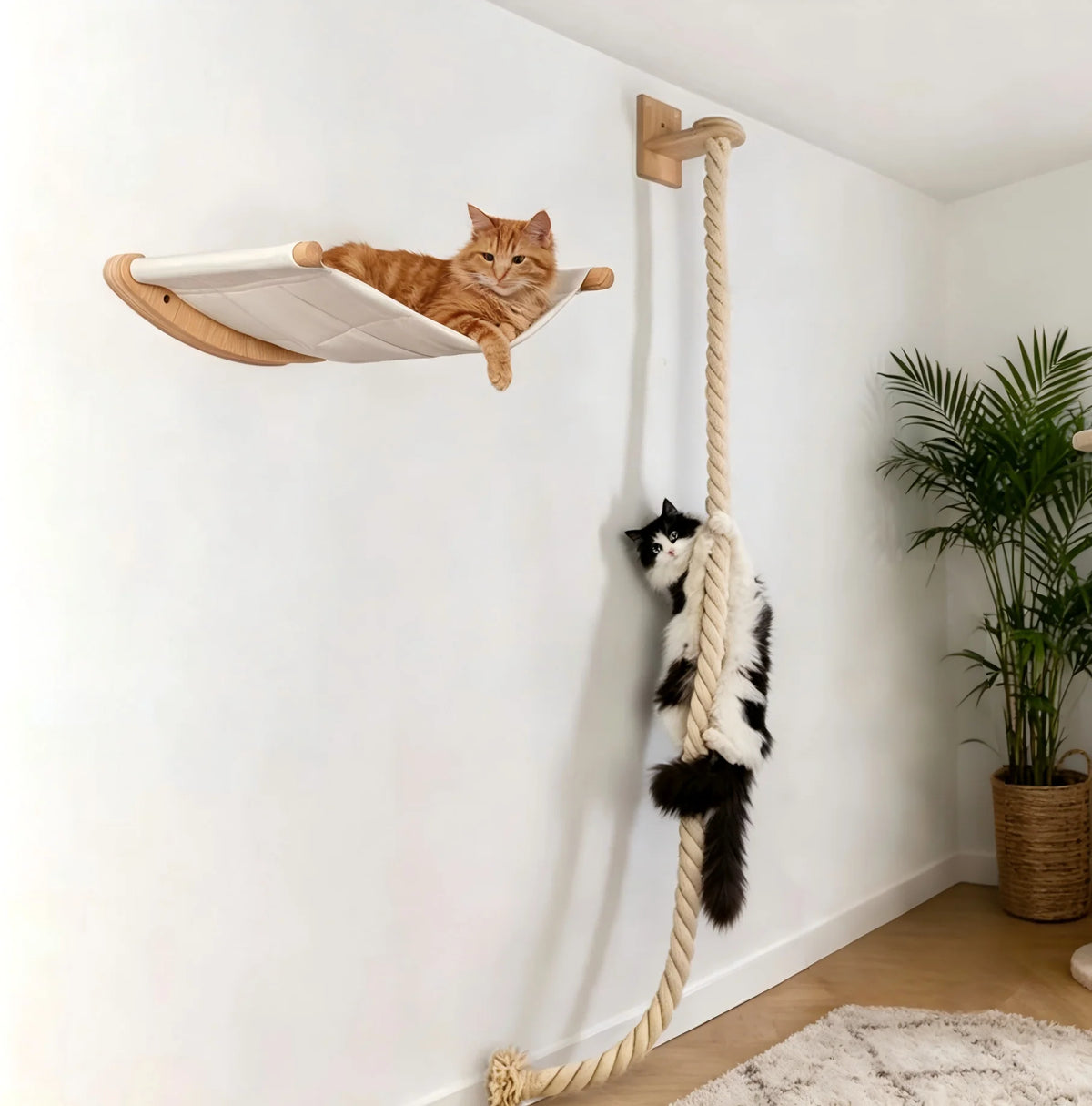 CWV Wall Mounted Cat Hammock Set Climbing Shelves Sisal Scratching