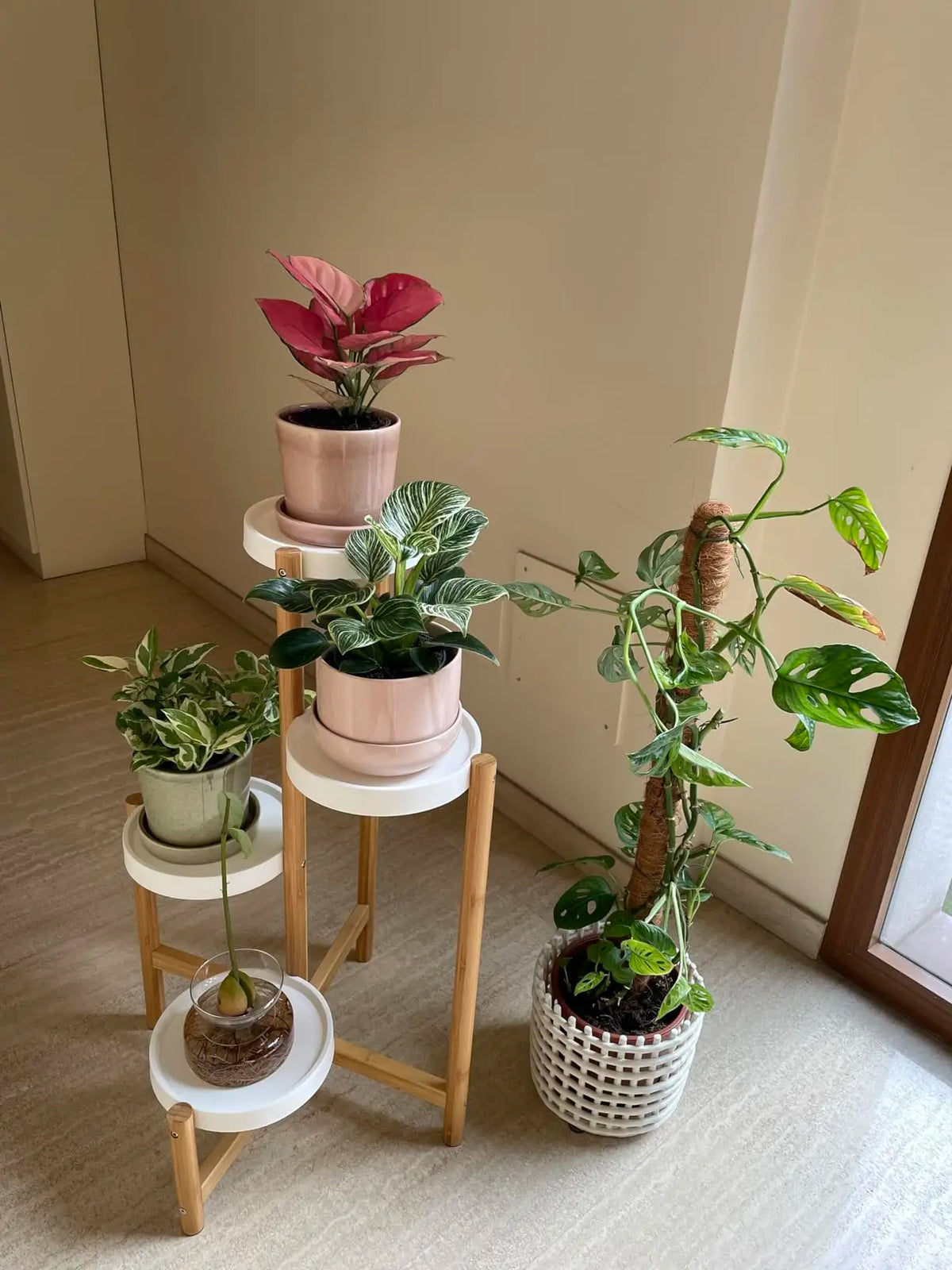 Wisfor 4-Tier Bamboo Plant Display Shelf Stand For Home Decor