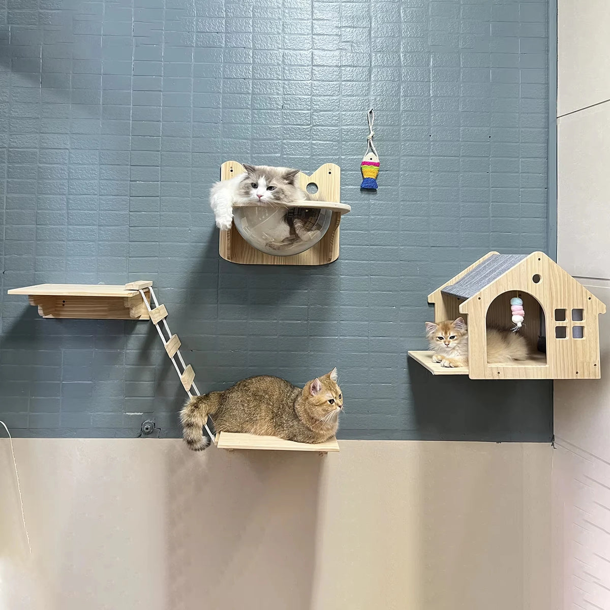 Wooden Wall Mounted Cat Condo Floating Shelf Villa