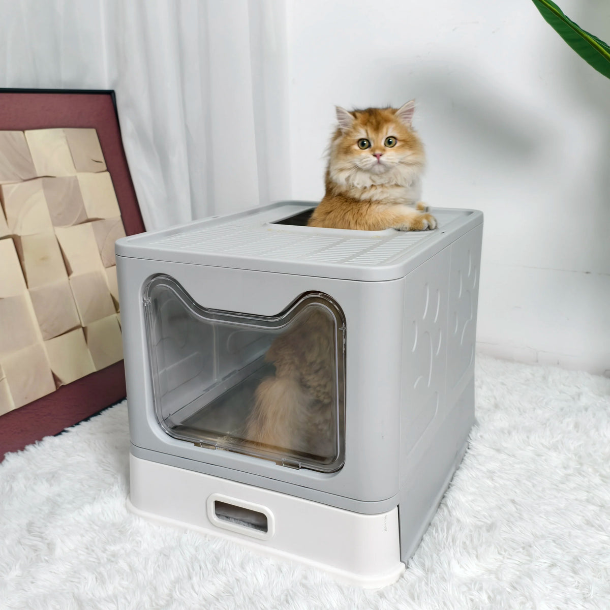 Cat Litter Box Front Entry Top Exit With Lid Scoop
