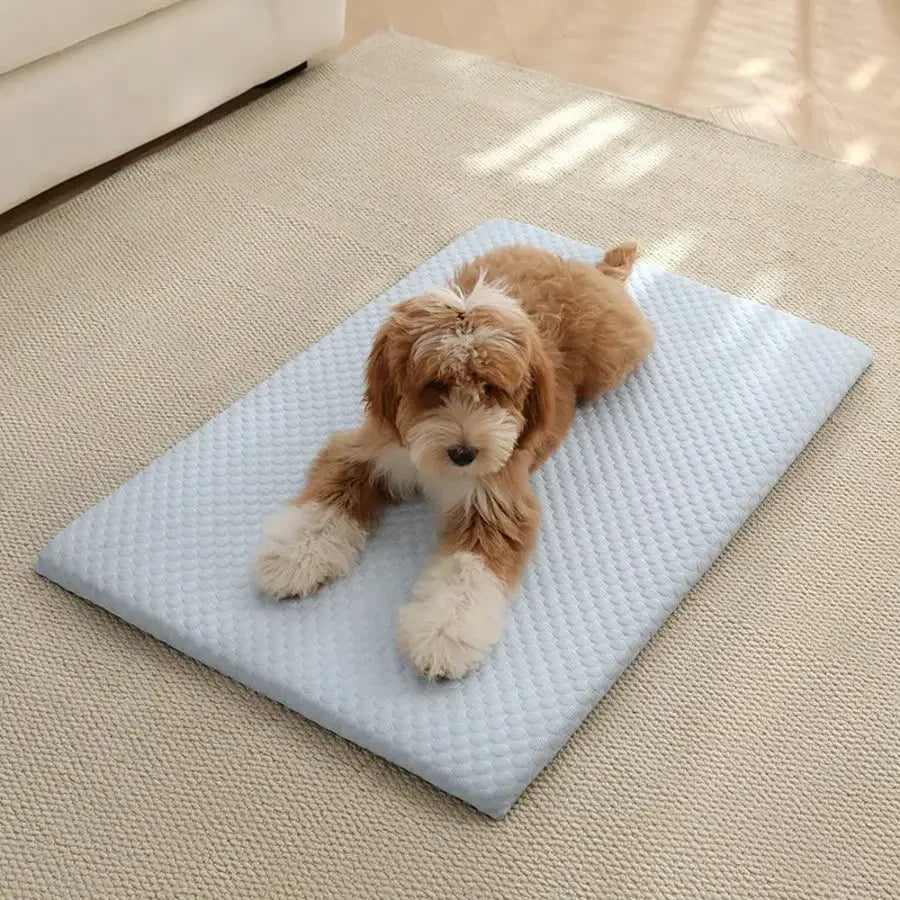 Cooling Cat Bed With Thick Padding Non Slip Washable All Seasons