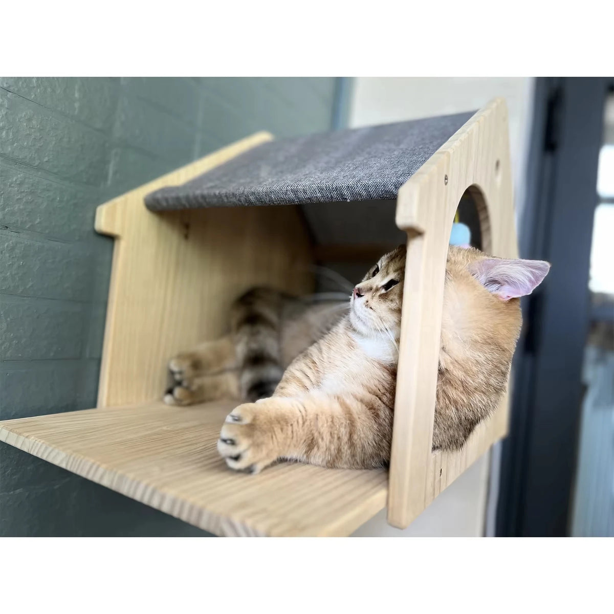 Wooden Wall Mounted Cat Condo Floating Shelf Villa