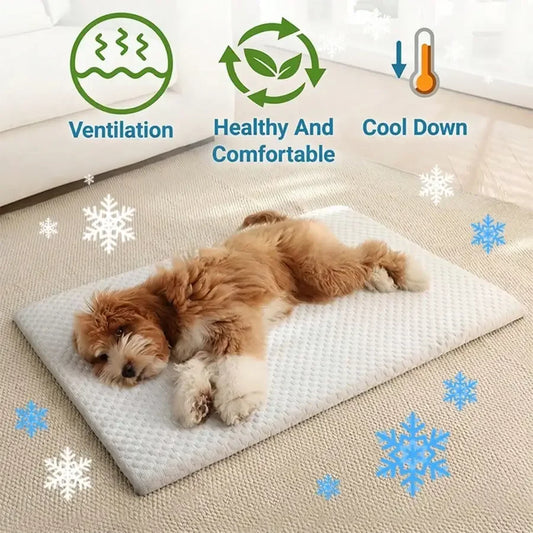 Cooling Cat Bed With Thick Padding Non Slip Washable All Seasons