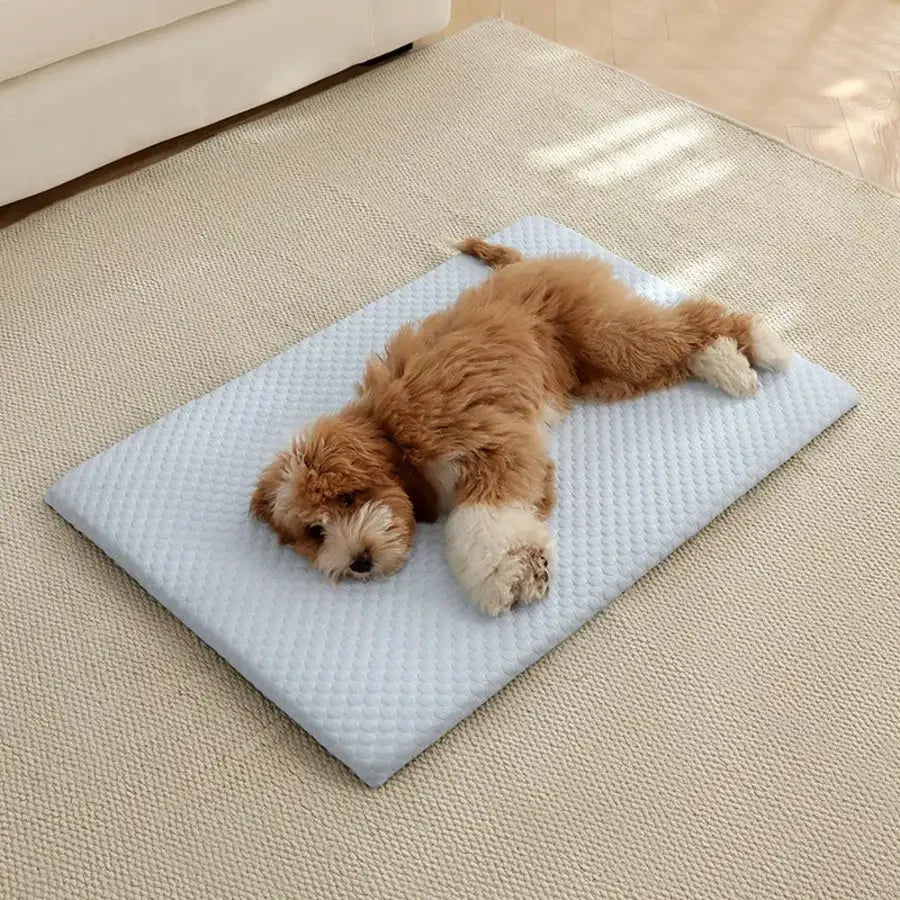Cooling Cat Bed With Thick Padding Non Slip Washable All Seasons