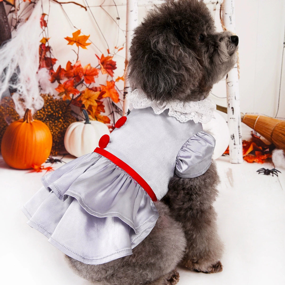Halloween Dog Costume Joker Wizard Witch Devil Cosplay