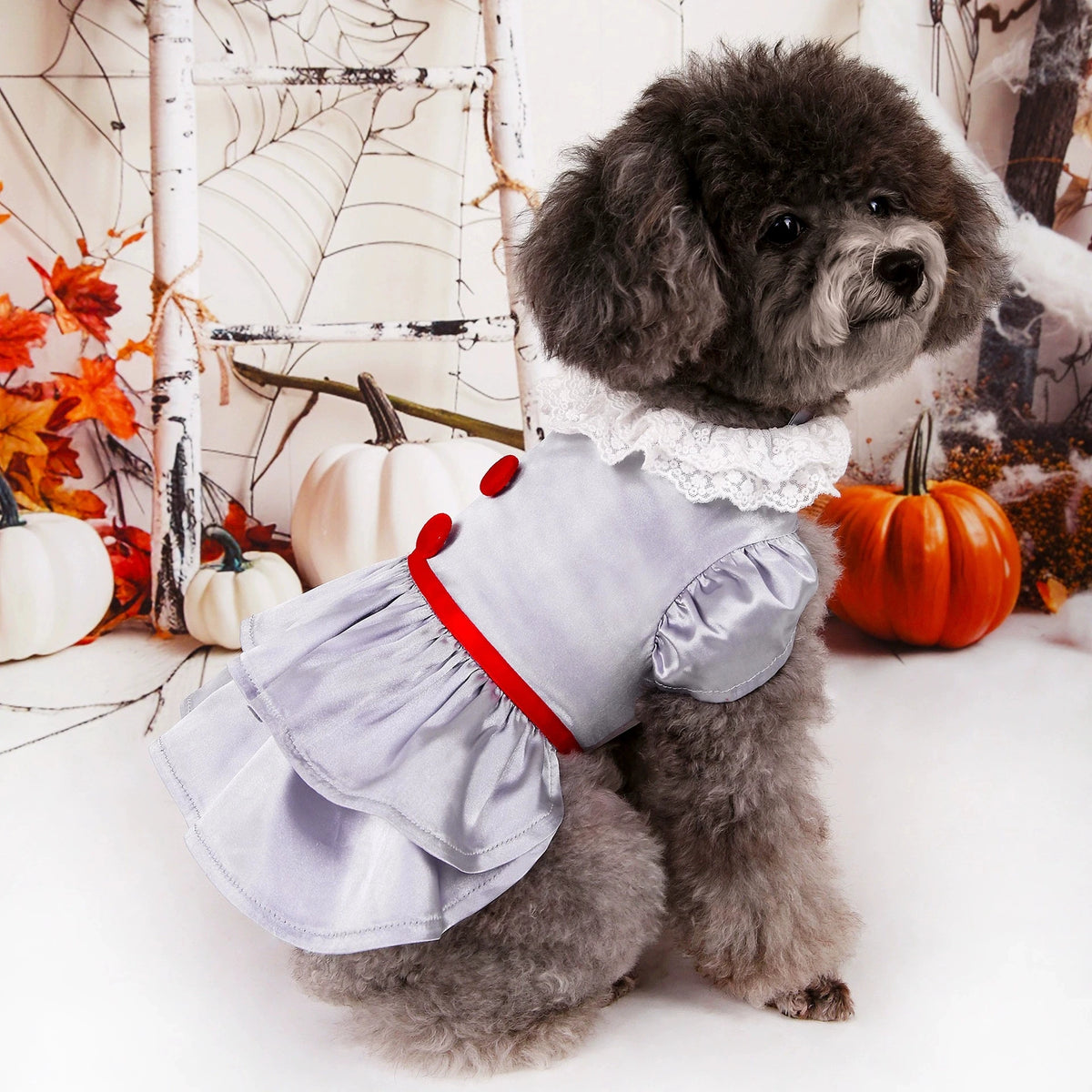 Halloween Dog Costume Joker Wizard Witch Devil Cosplay