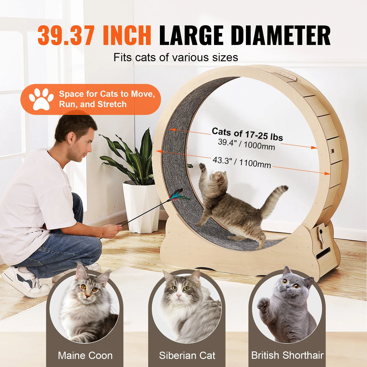 Wooden Indoor Cat Running Treadmill And Exercise Wheel