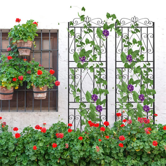 Metal Garden Trellis For Outdoor Plant Climbing Support