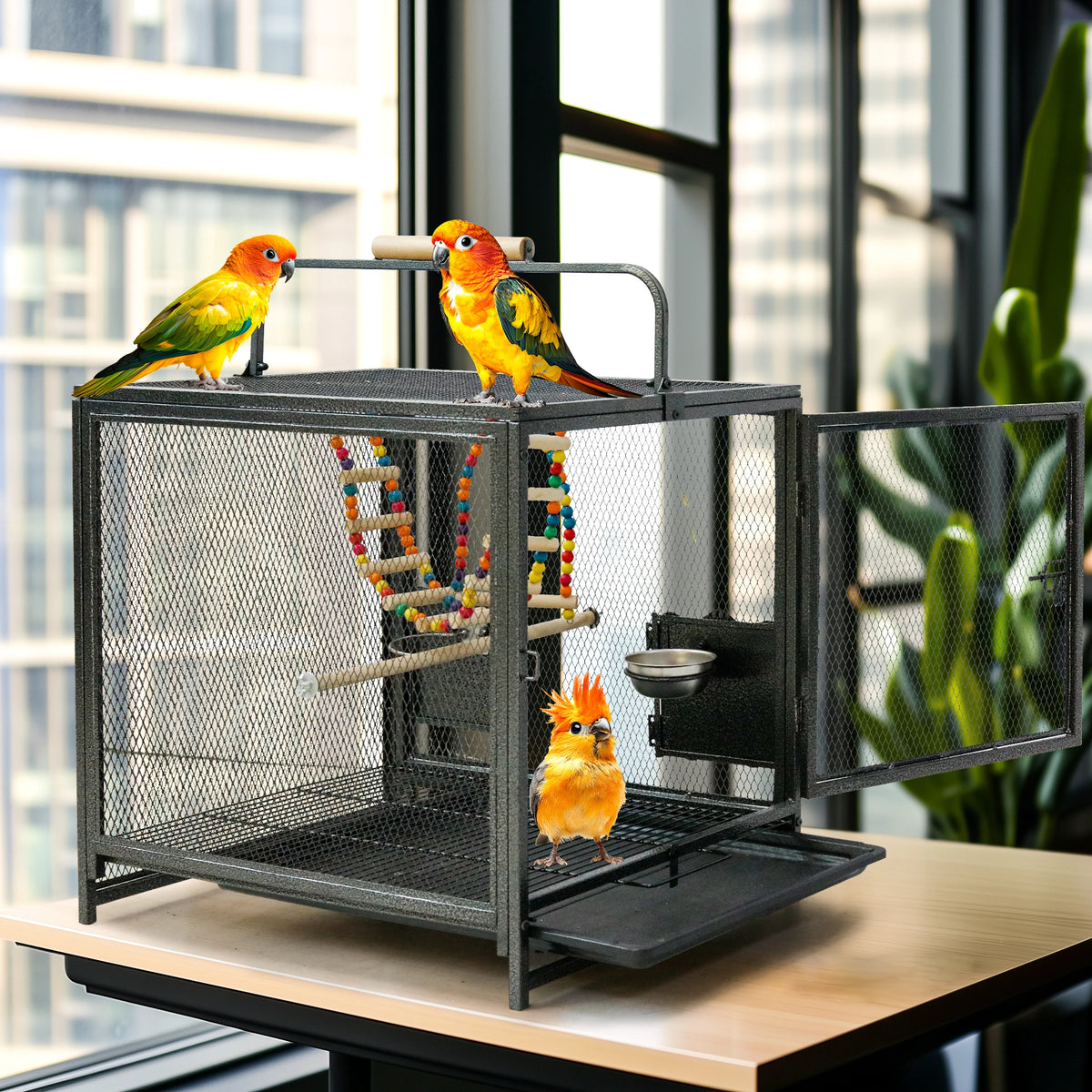Wrought Iron Parrot Travel Cage With Wooden Perch Seed Guard