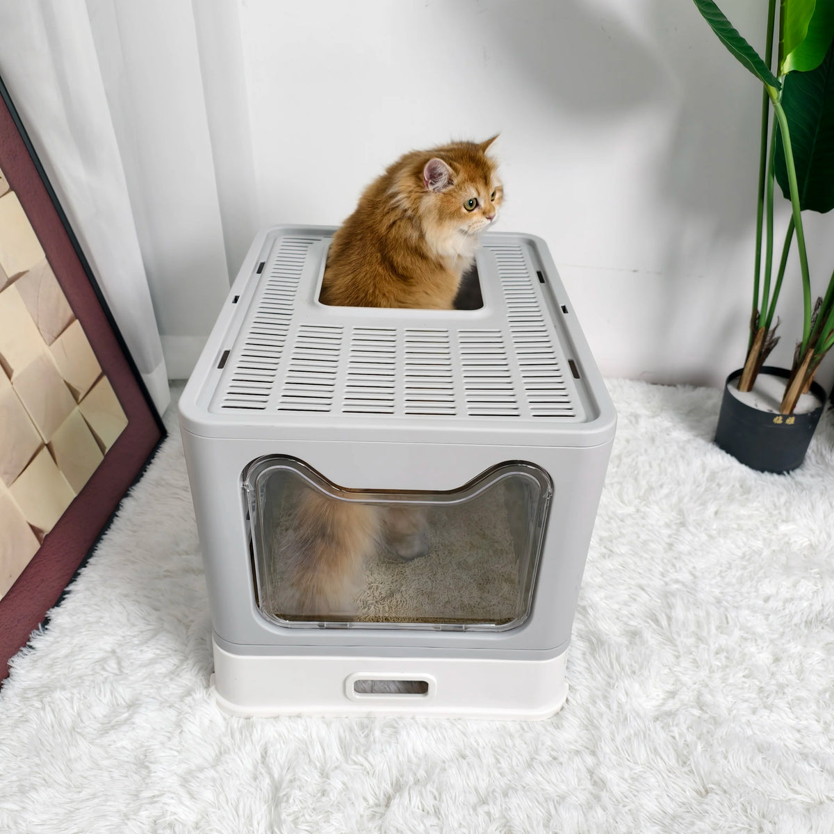Cat Litter Box Front Entry Top Exit With Lid Scoop