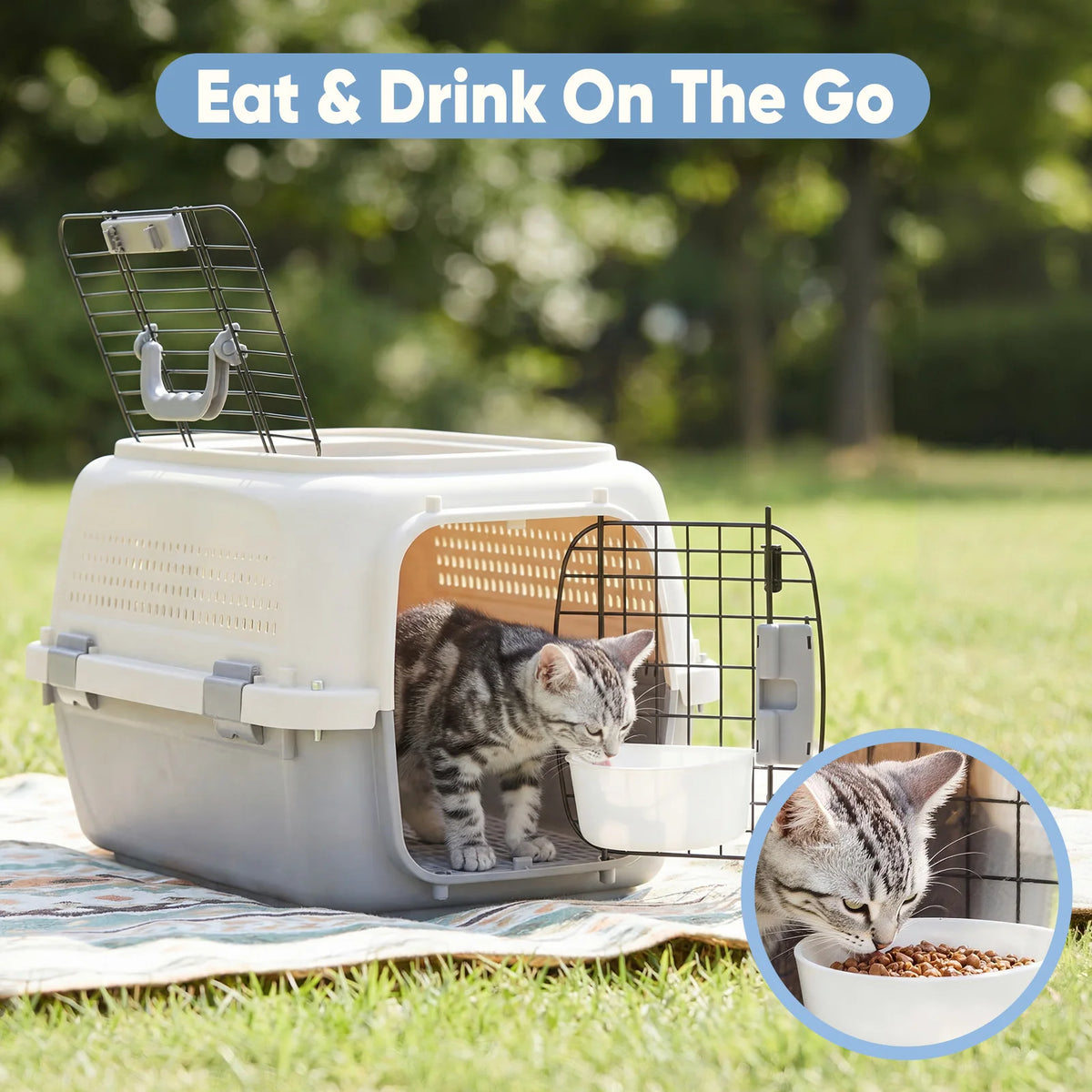 Portable Pet Carrier With Reinforced Security Latches For Pets