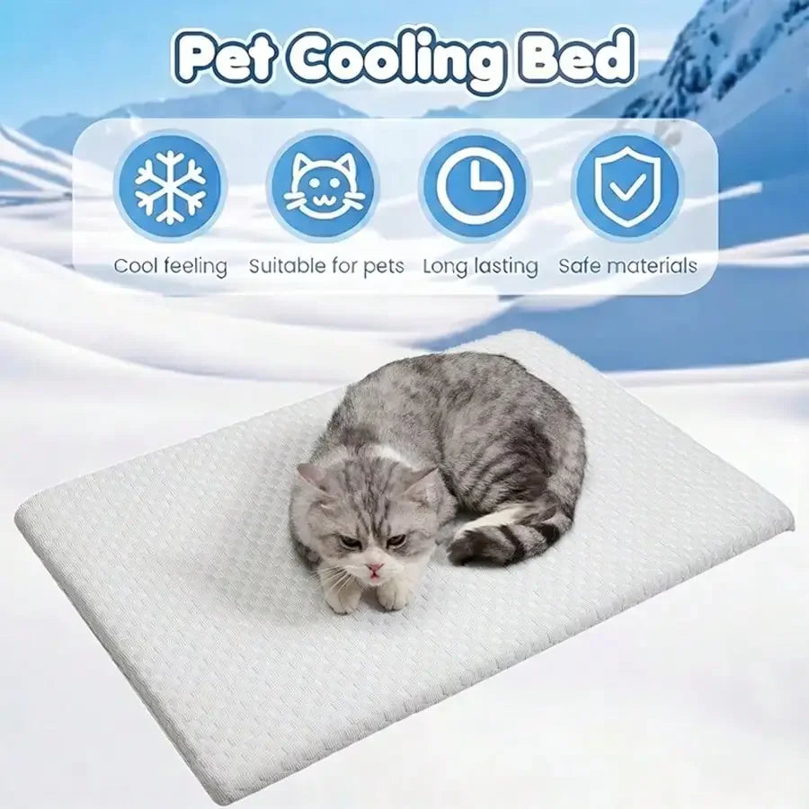 Cooling Cat Bed With Thick Padding Non Slip Washable All Seasons
